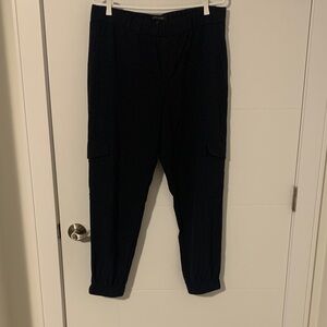Banana Republic Dark Blue Ankle Pants
